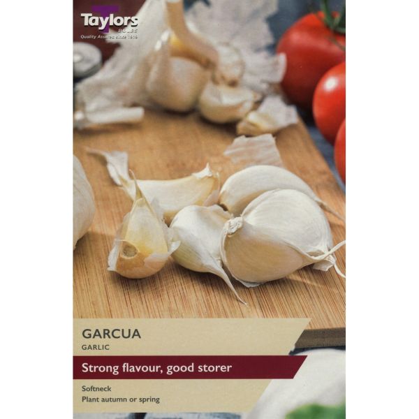 Garlic Garcua - 2 Bulbs